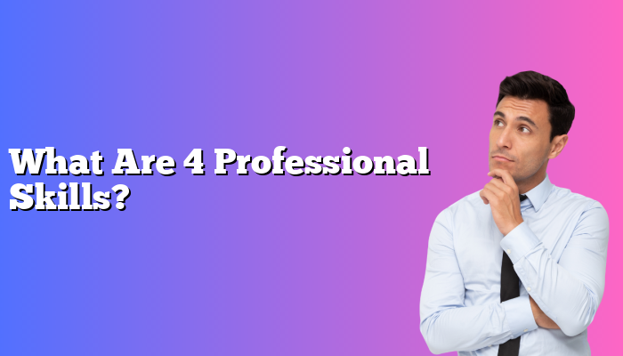 What Are 4 Professional Skills?